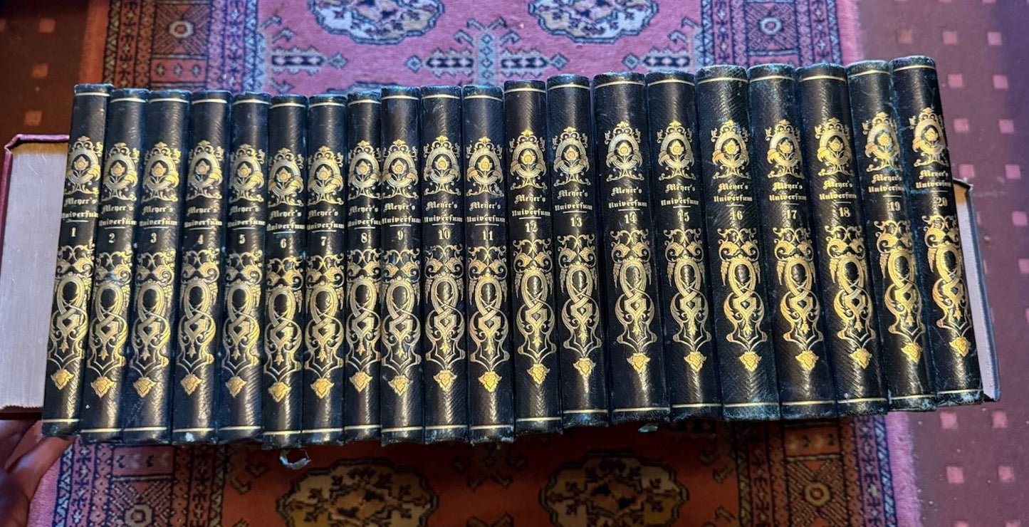 1833 Meyer's Universum (20 Volumes) 950 Steel Engravings : Exploration Geography