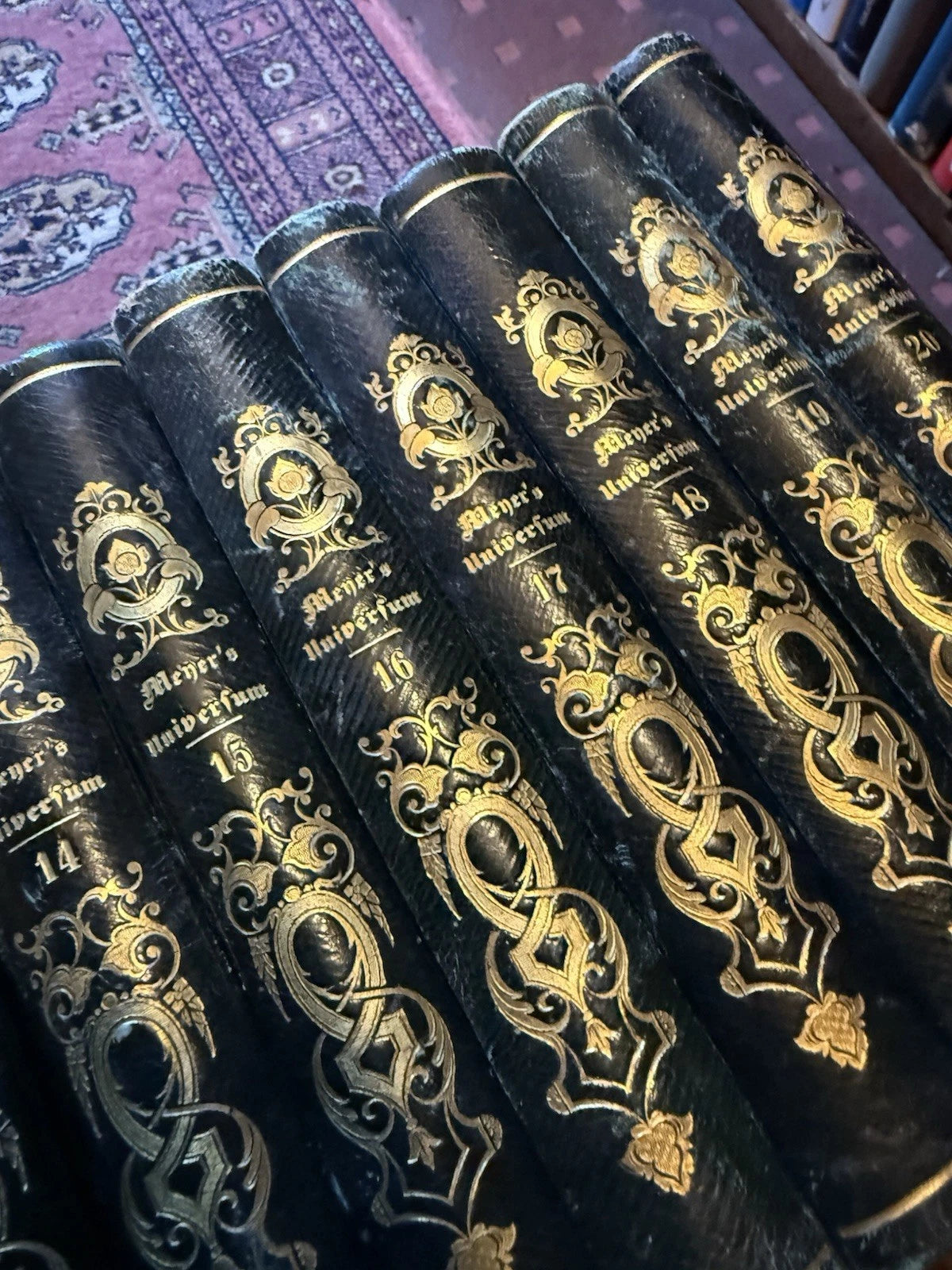 1833 Meyer's Universum (20 Volumes) 950 Steel Engravings : Exploration Geography
