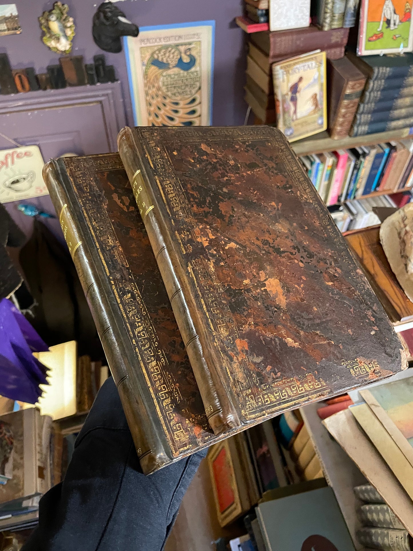 1793 Fables by John Gay : 12 William Blake Plates : 2 Volumes