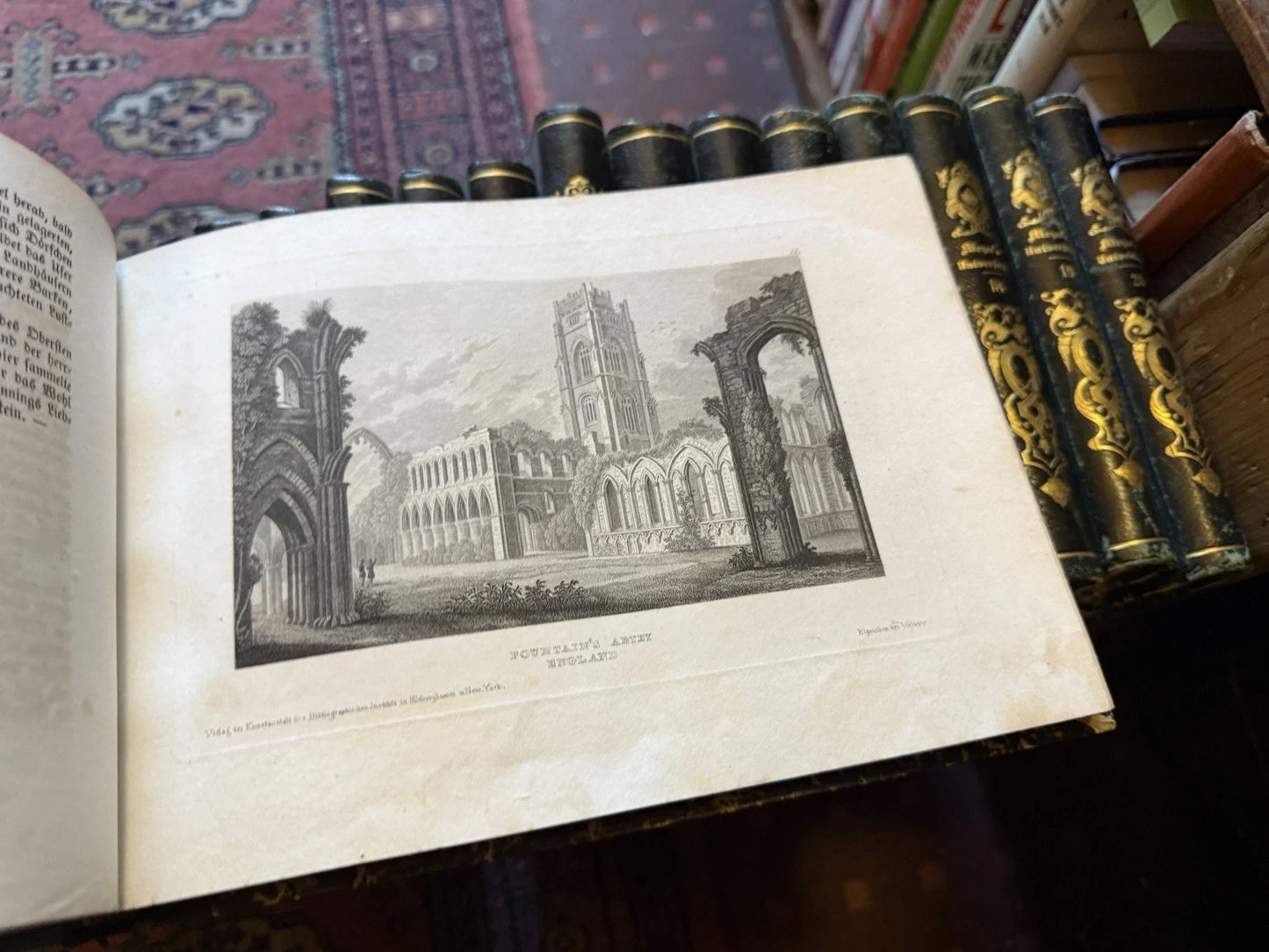 1833 Meyer's Universum (20 Volumes) 950 Steel Engravings : Exploration Geography