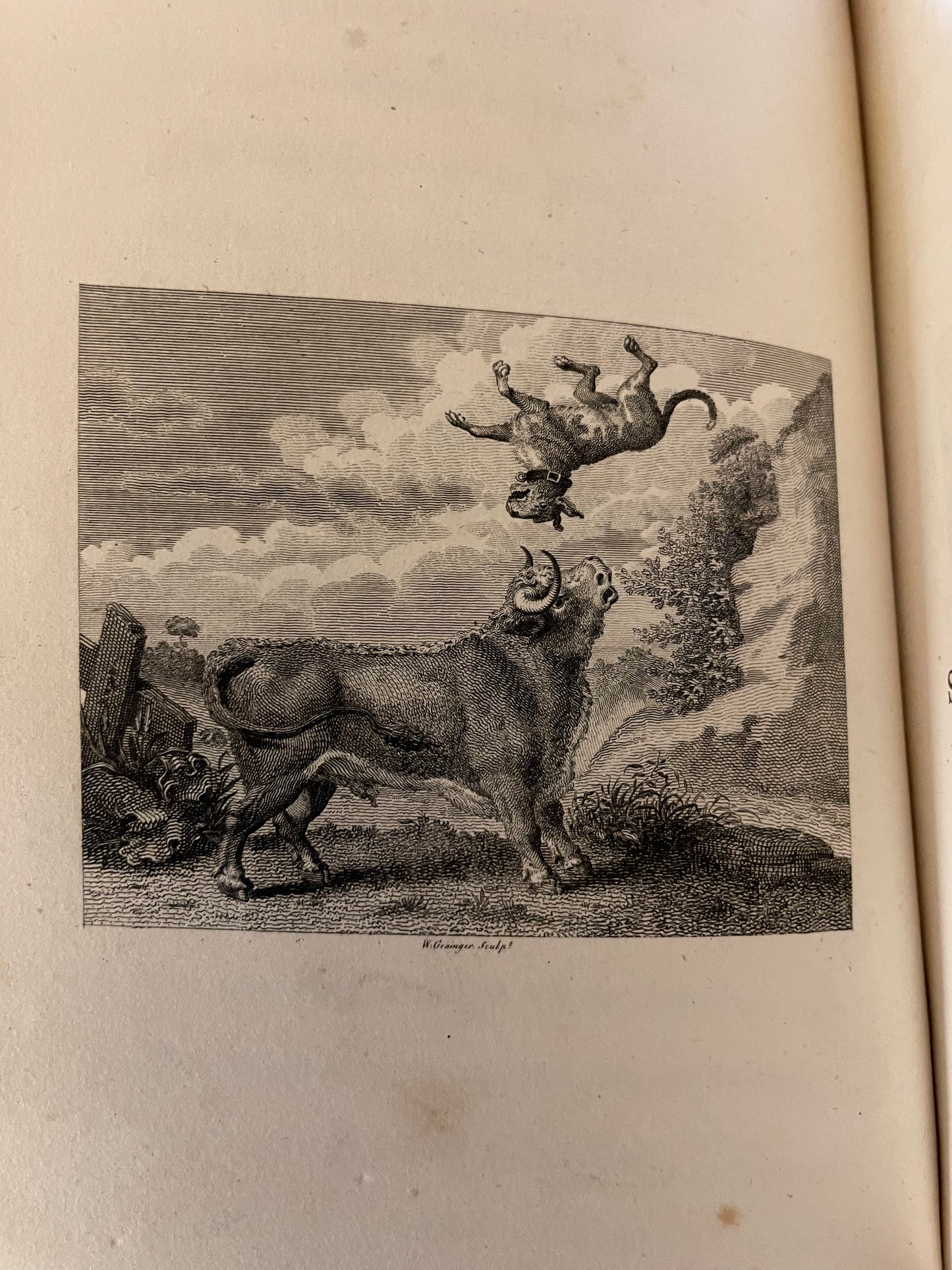 1793 Fables by John Gay : 12 William Blake Plates : 2 Volumes