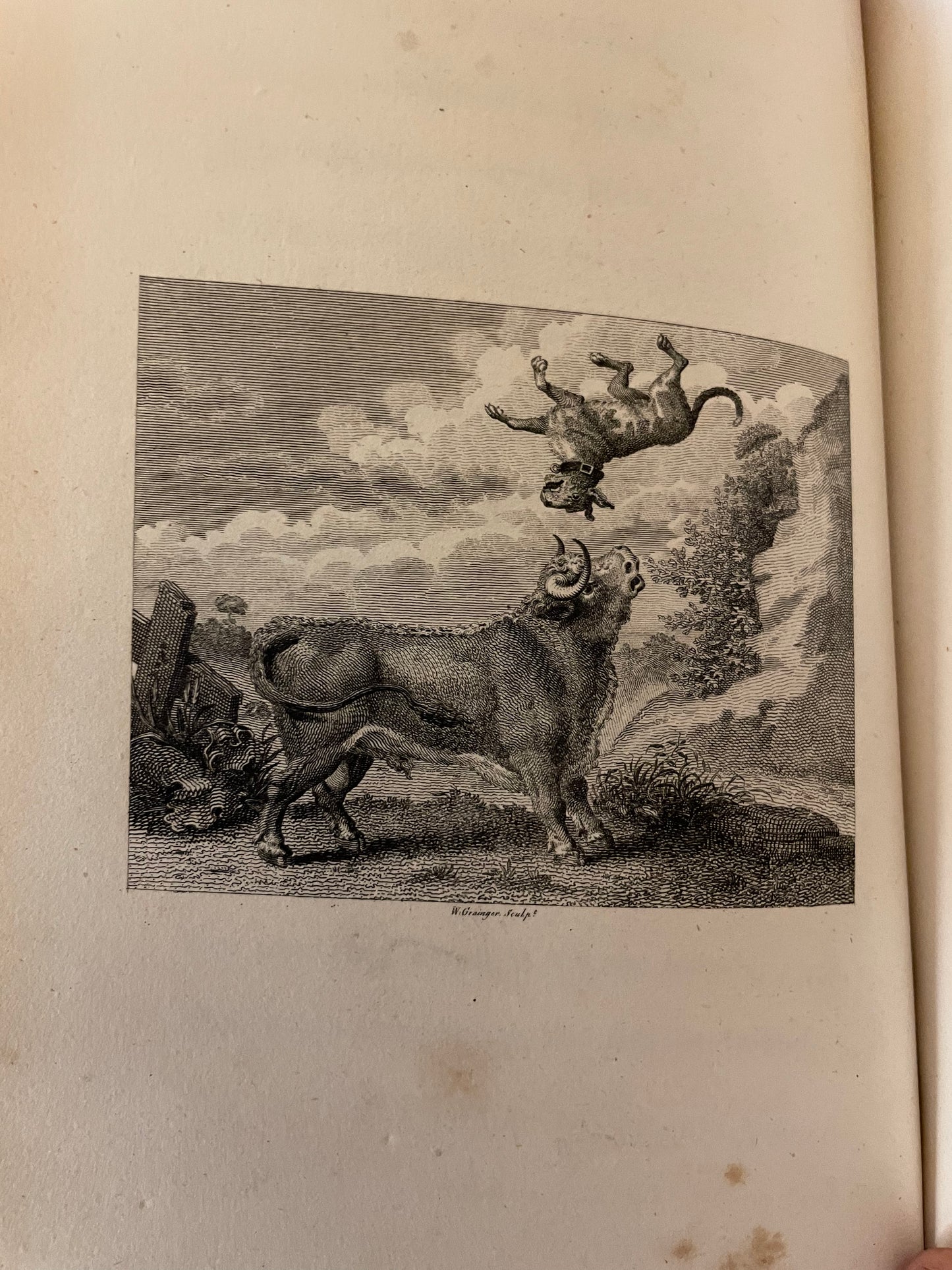 1793 Fables by John Gay : 12 William Blake Plates : 2 Volumes