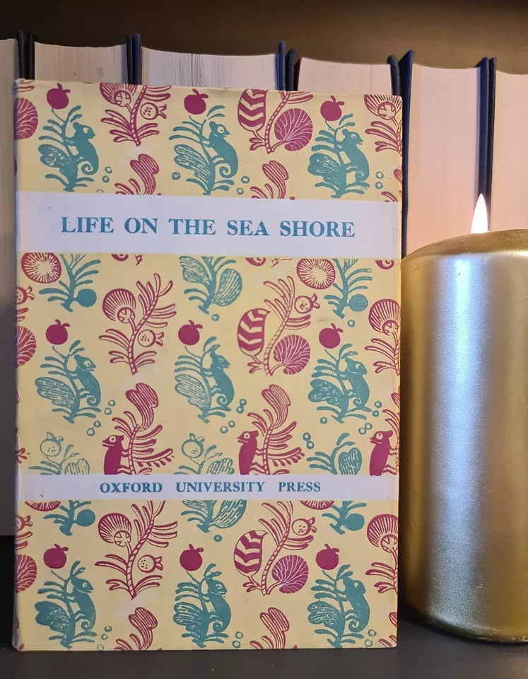 Life on the Sea Shore, E.A.R. Ennion: Hardback: 1st Edition
