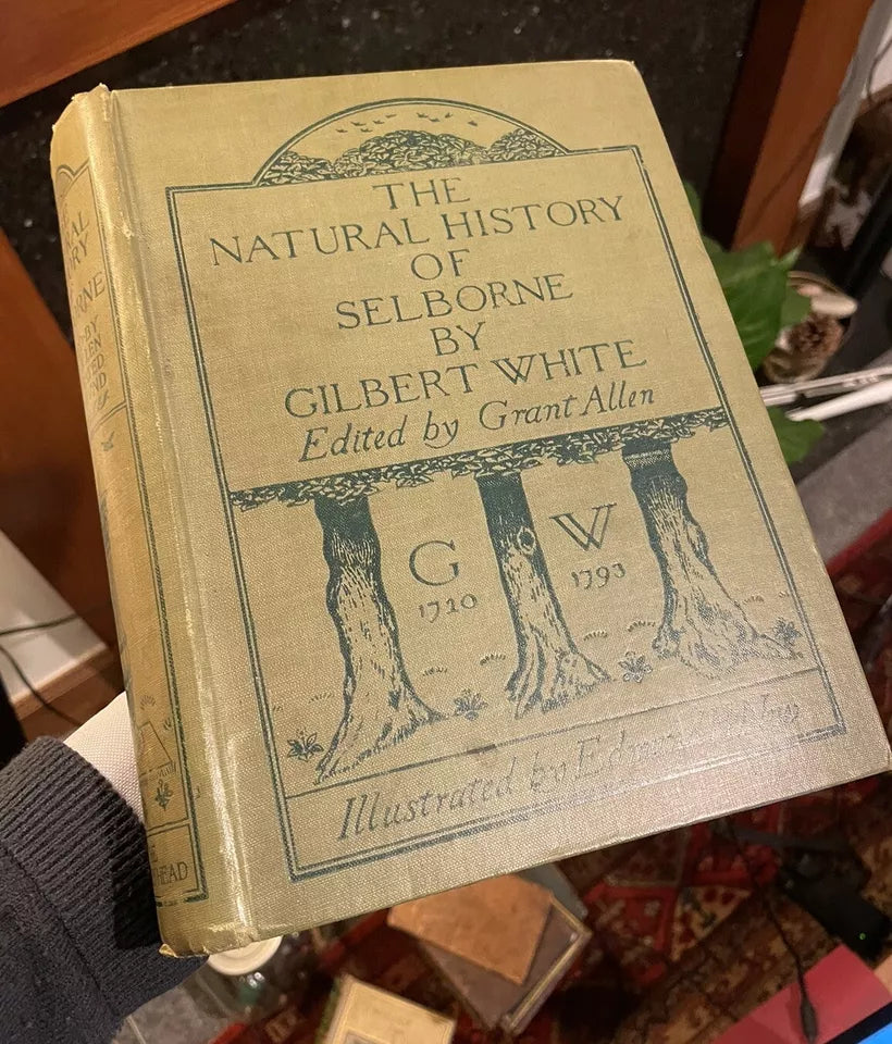 1900 Gilbert White : Natural History of Selborne : Illus by Edmund H. New