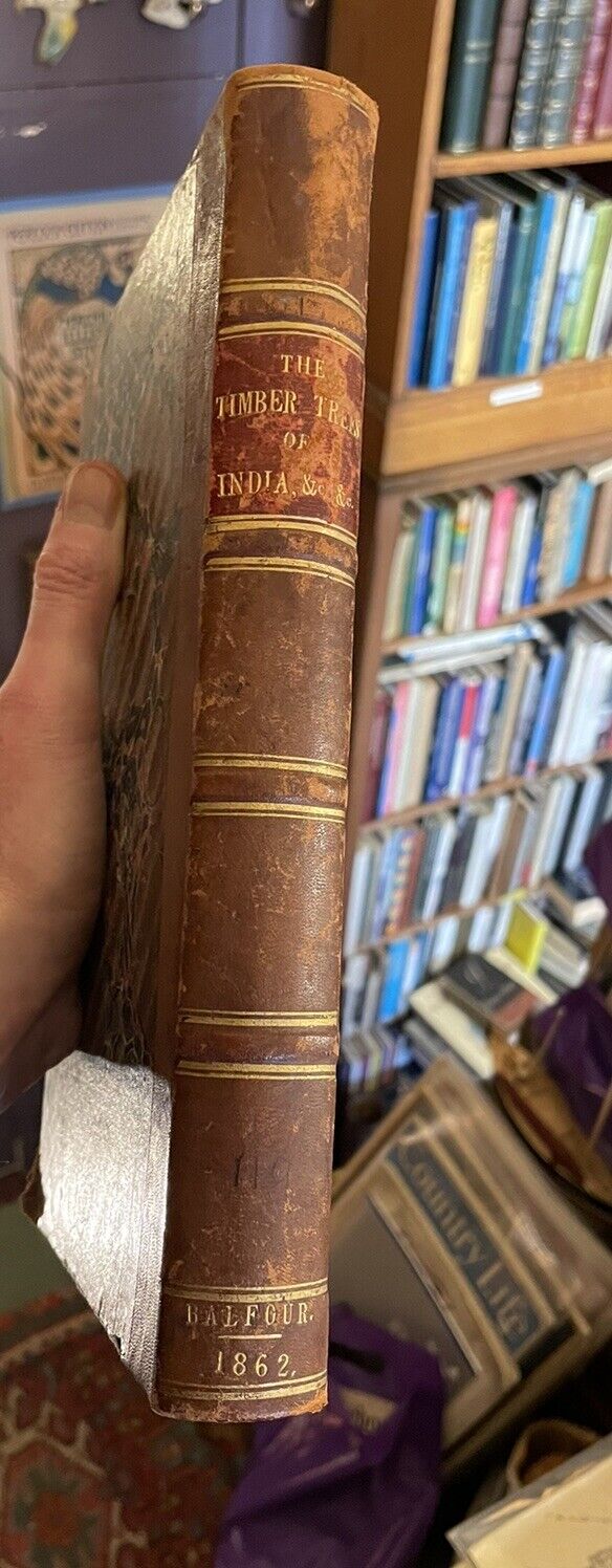 1862 Balfour's Timber Trees and Fancy Woods : Forests of India