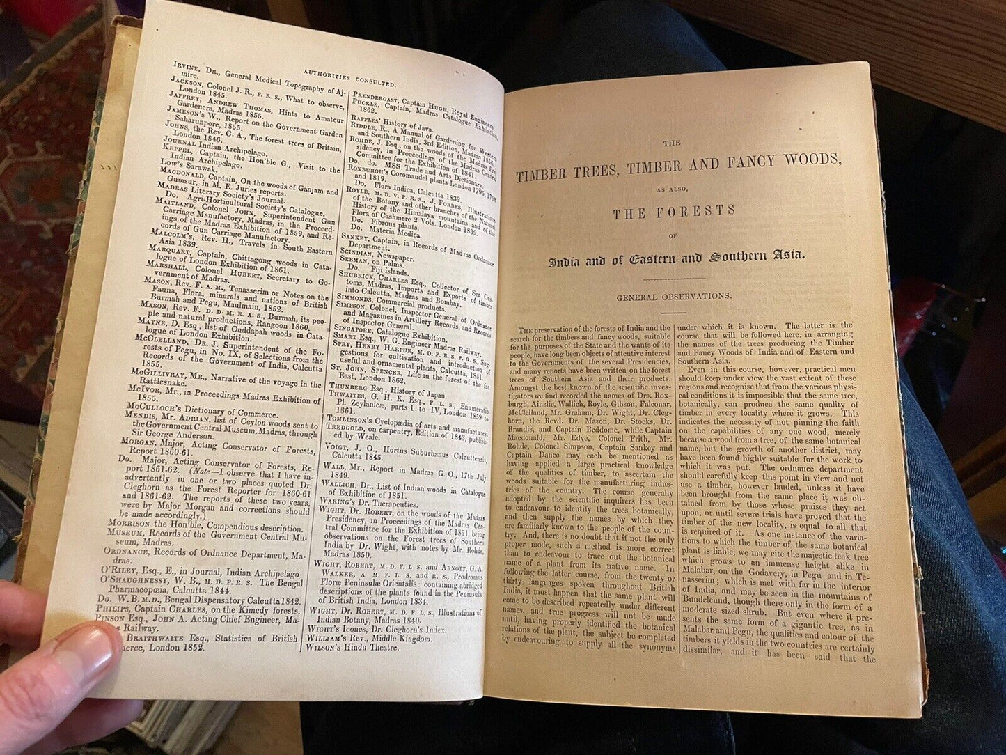 1862 Balfour's Timber Trees and Fancy Woods : Forests of India