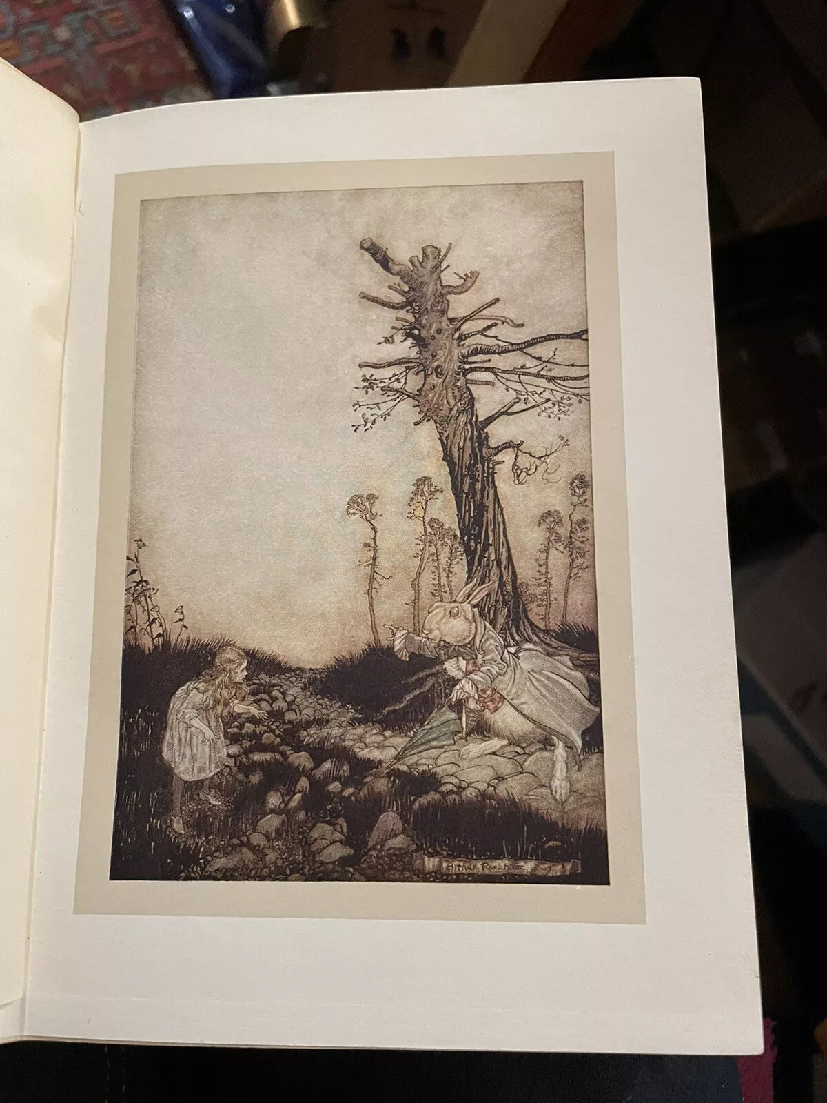1907 Alice's Adventures in Wonderland : Arthur Rackham : Lewis Carroll 1st