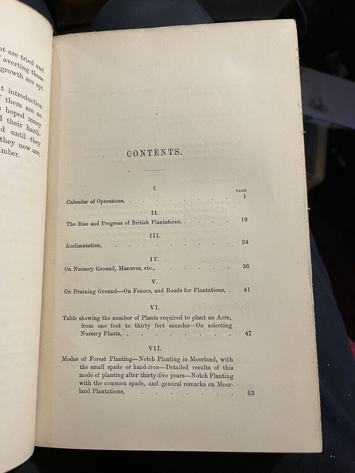 1868 ARBORICULTURE Britsih Forest Trees FORESTRY MANAGEMENT Horticulture