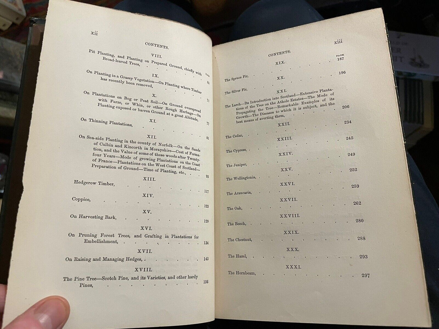 1868 ARBORICULTURE Britsih Forest Trees FORESTRY MANAGEMENT Horticulture
