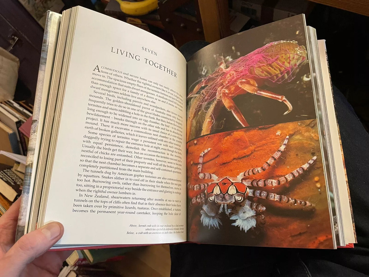 David Attenborough (Signed 1st Edition) The Trials of Life : HB in Dust Jacket