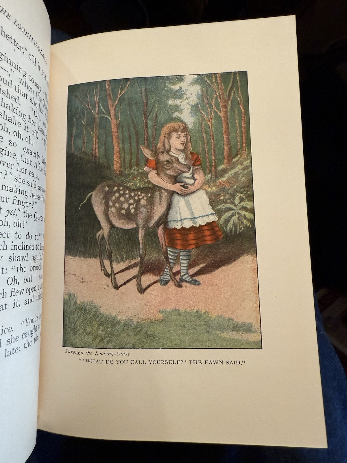 Alice in Wonderland + Through the Looking Glass : Altemus : Carroll : Tenniel