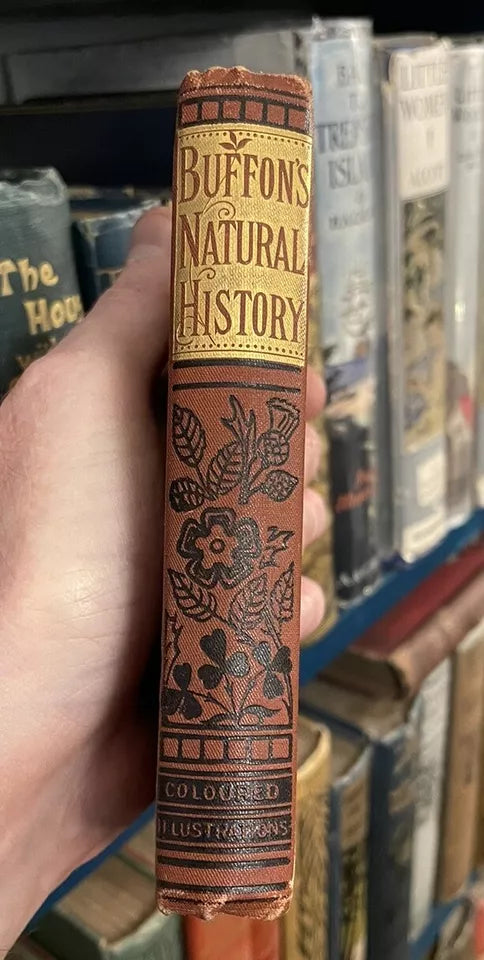 c1889 Buffon's Natural History Modernized : 32 Colour Plates : A Very Good Copy