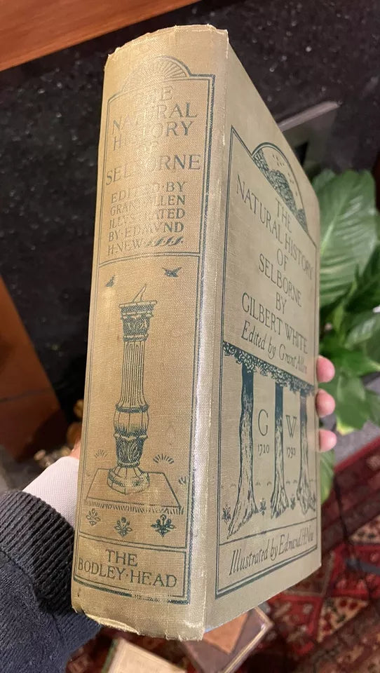 1900 Gilbert White : Natural History of Selborne : Illus by Edmund H. New