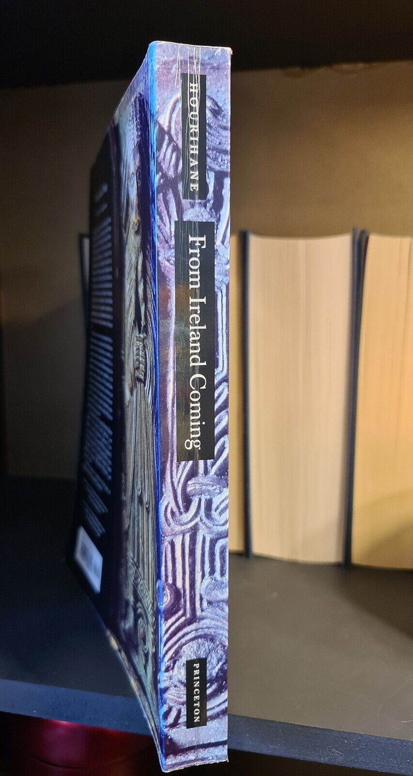 From Ireland Coming, C. Hourihane edi: 1st Edition: Irish Art & History