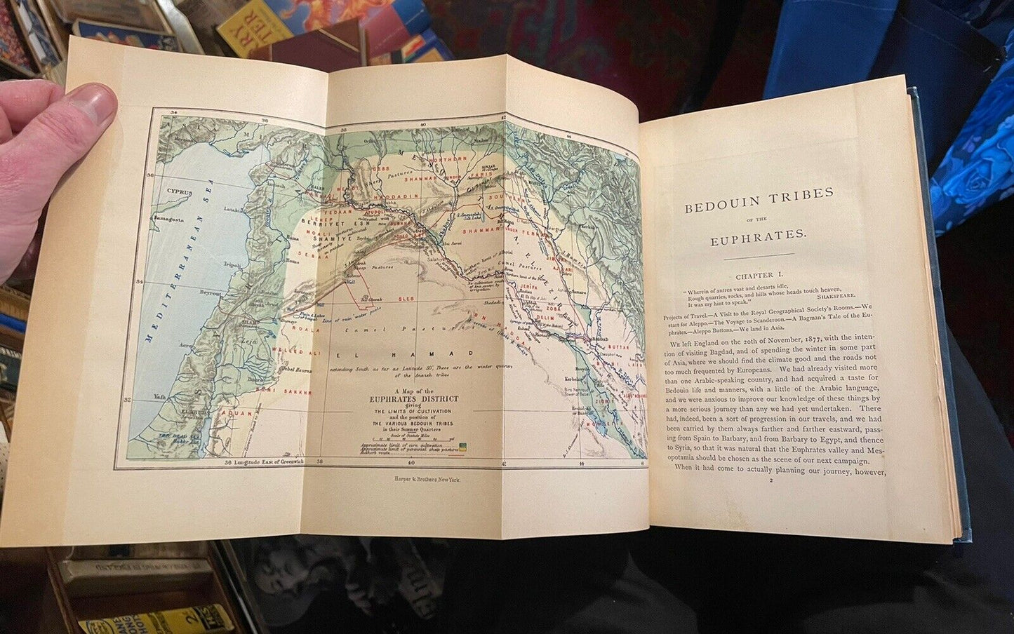 1879 Blunt's Bedouin Tribes of the Euphrates : Desert Arabs : Horse Breeding