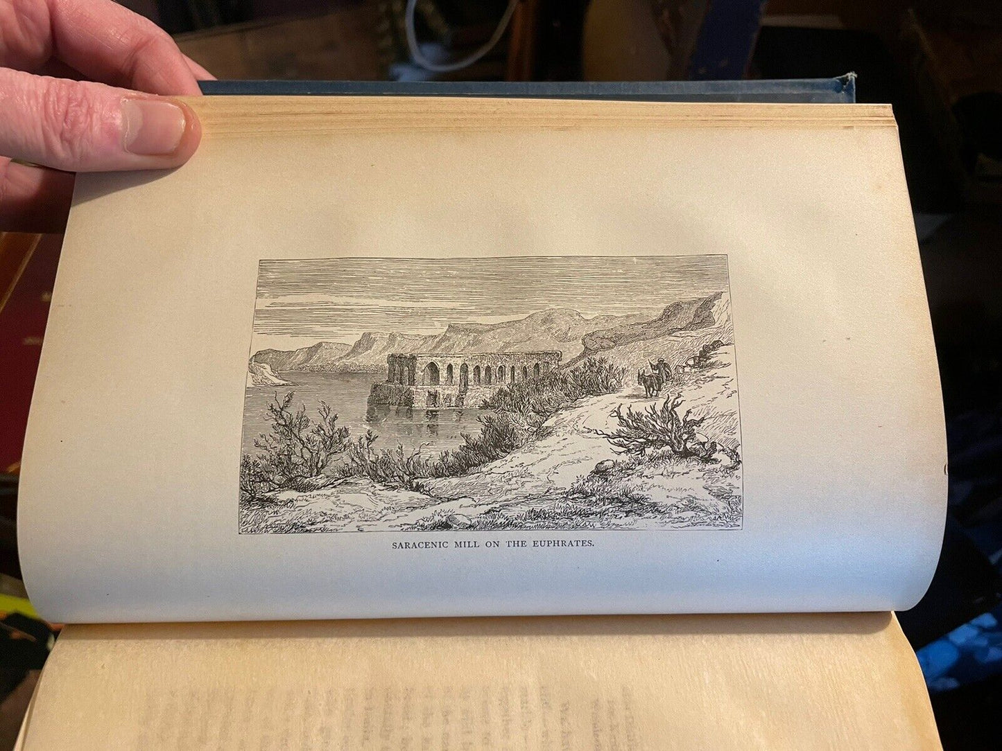 1879 Blunt's Bedouin Tribes of the Euphrates : Desert Arabs : Horse Breeding