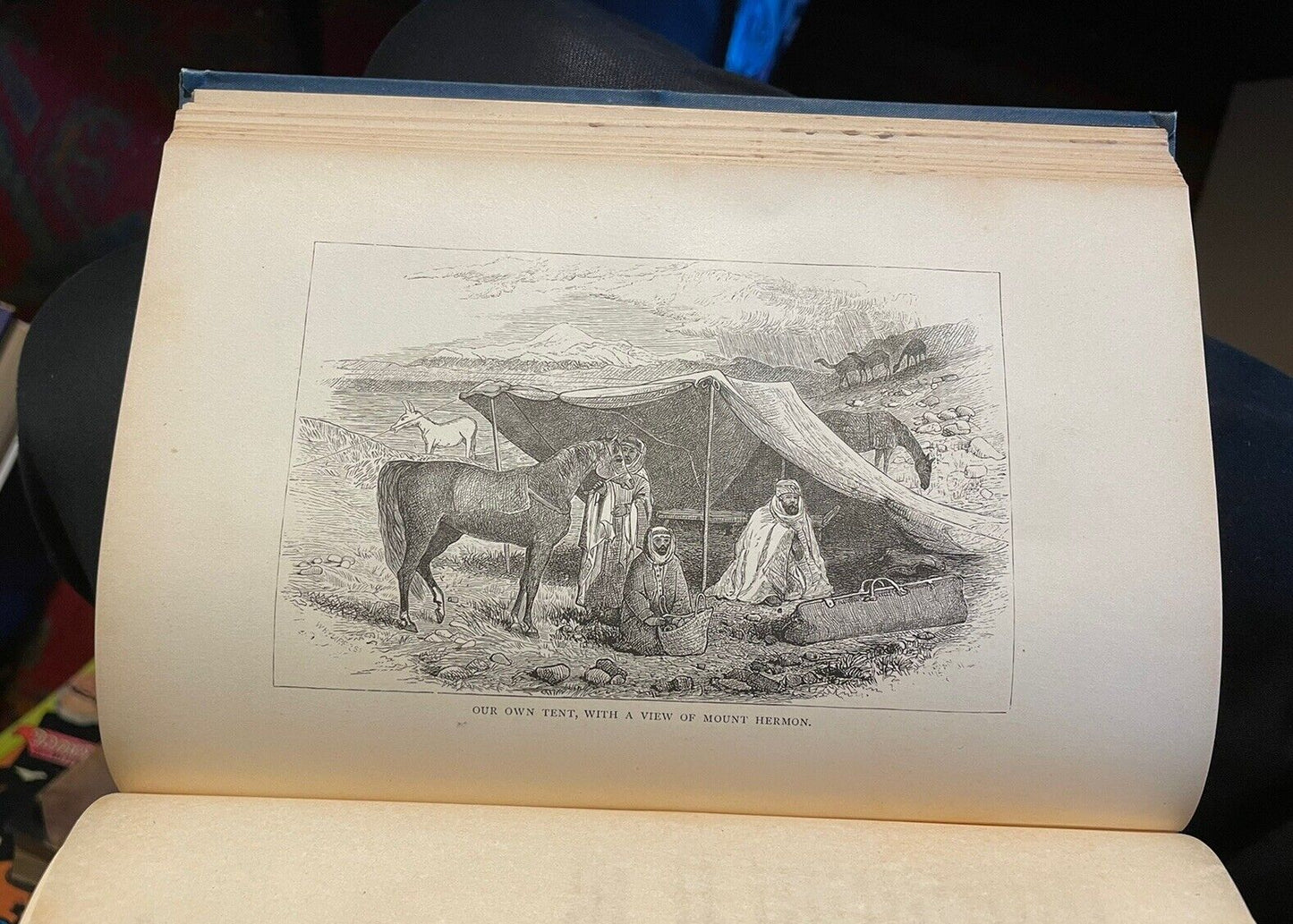 1879 Blunt's Bedouin Tribes of the Euphrates : Desert Arabs : Horse Breeding