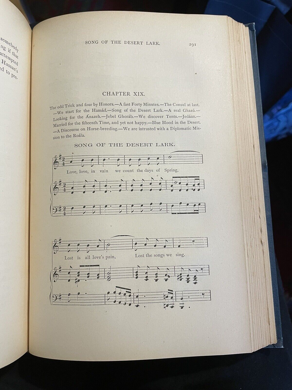 1879 Blunt's Bedouin Tribes of the Euphrates : Desert Arabs : Horse Breeding