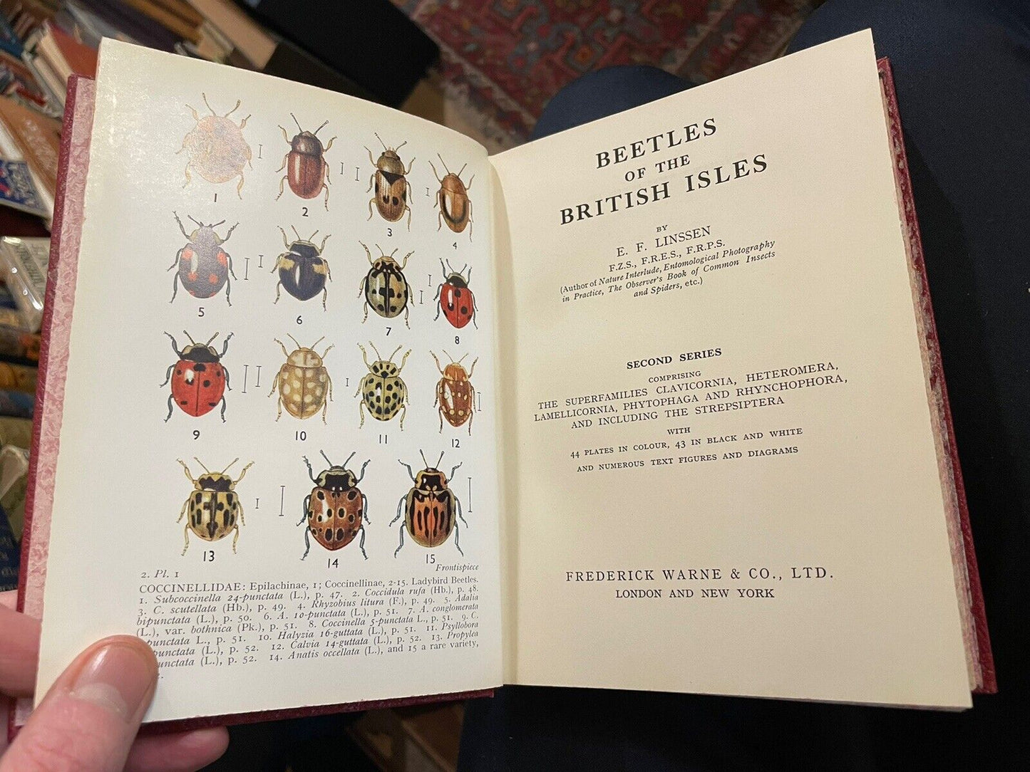 Beetles of the British Isles (Series 1 & 2) E F Linssen : Illustrated