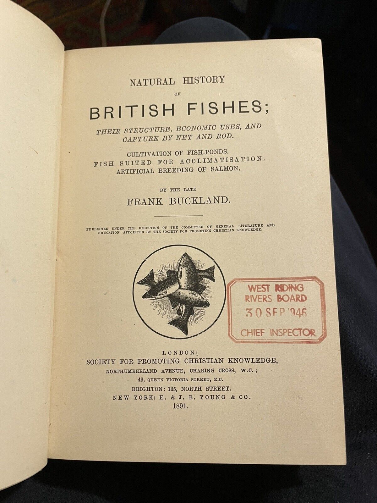 1891 The Natural History of British Fishes : Frank Buckland : Fish Illustrated