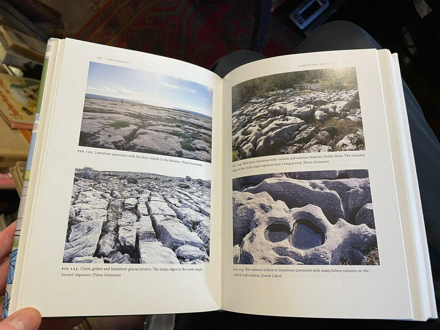 The Burren : David Cabot & Roger Goodwillie SIGNED COPY (NN) New Naturalist 138