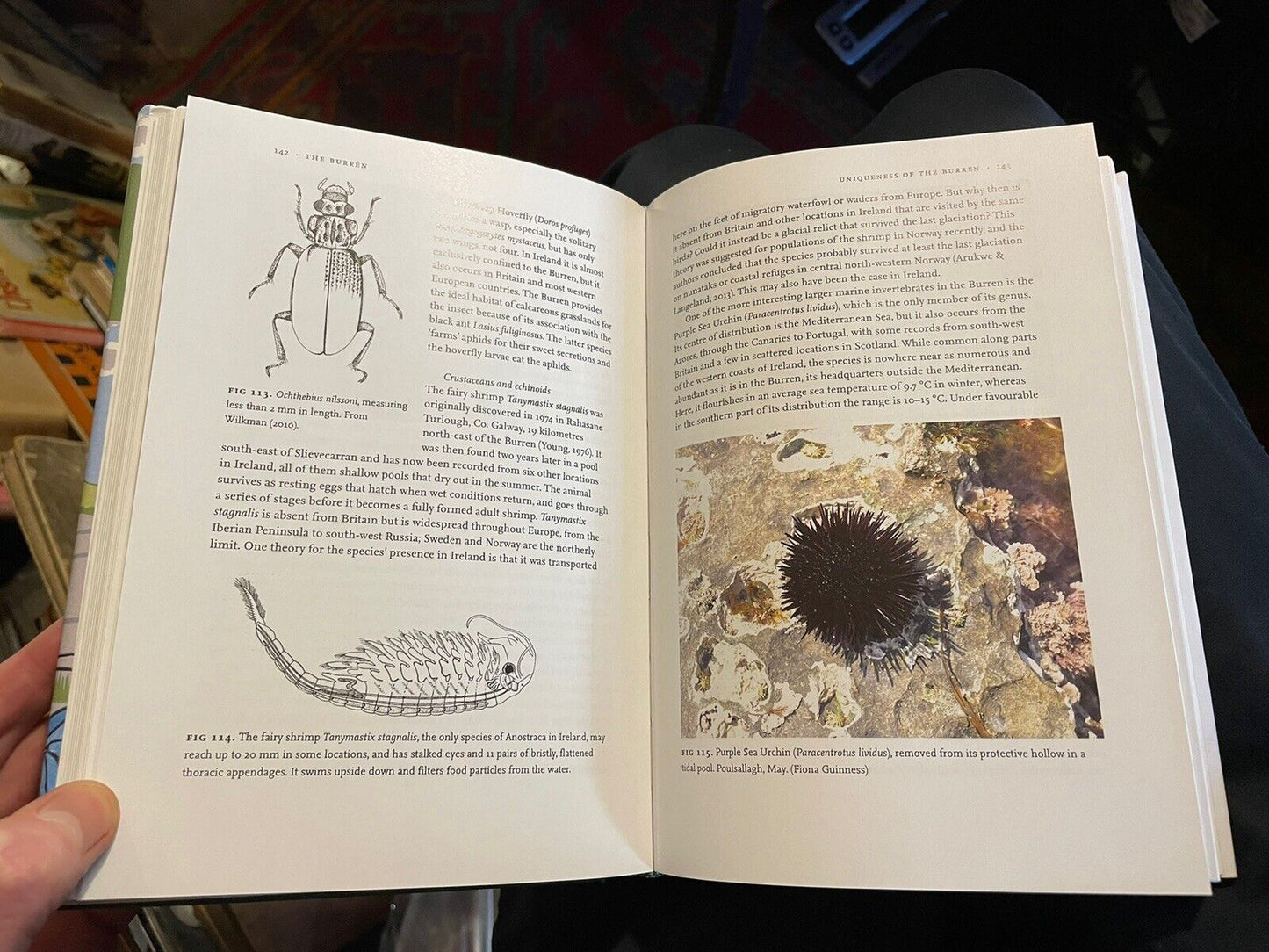 The Burren : David Cabot & Roger Goodwillie SIGNED COPY (NN) New Naturalist 138
