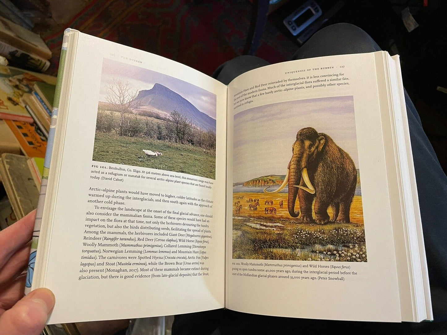 The Burren : David Cabot & Roger Goodwillie SIGNED COPY (NN) New Naturalist 138