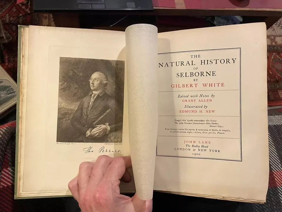1900 Gilbert White : Natural History of Selborne : Illus by Edmund H. New