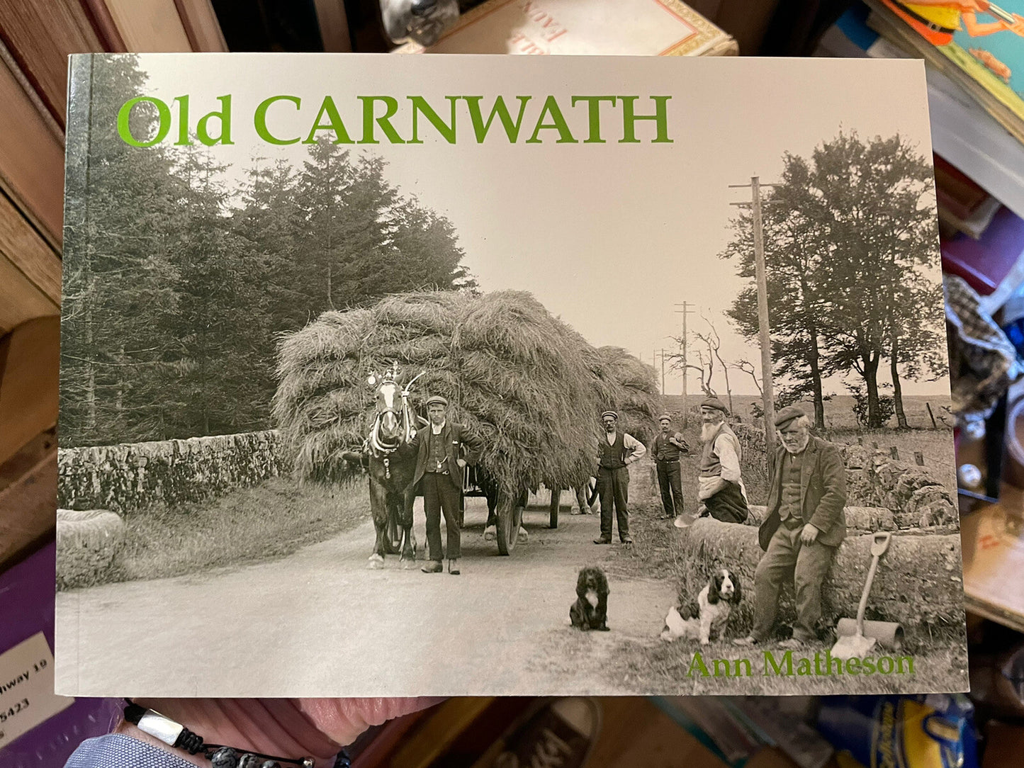 Old Carnwath : Braehead, Dolphinton : Photographs : Local History VGC
