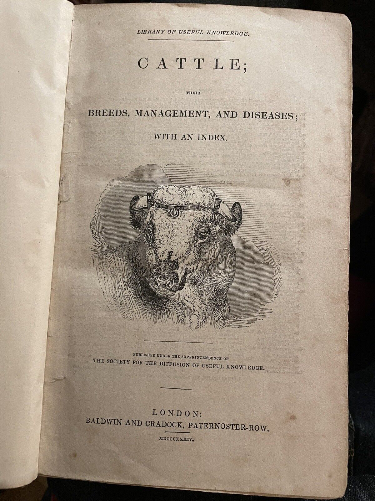 CATTLE Their Breeds, Management, and Diseases : William Youatt : Engravings 1834