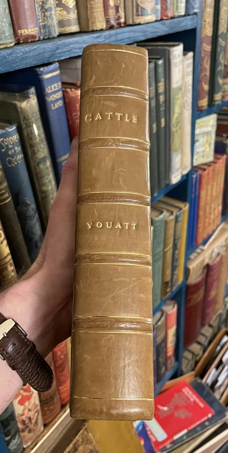 1834 Cattle, Their Breeds, Management and Diseases : W. Youatt : Illustrated