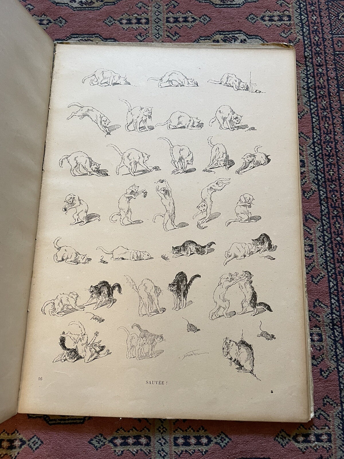 1898 Steinlen · Des Chats : Original Copy : French Cats, Pictures without Words