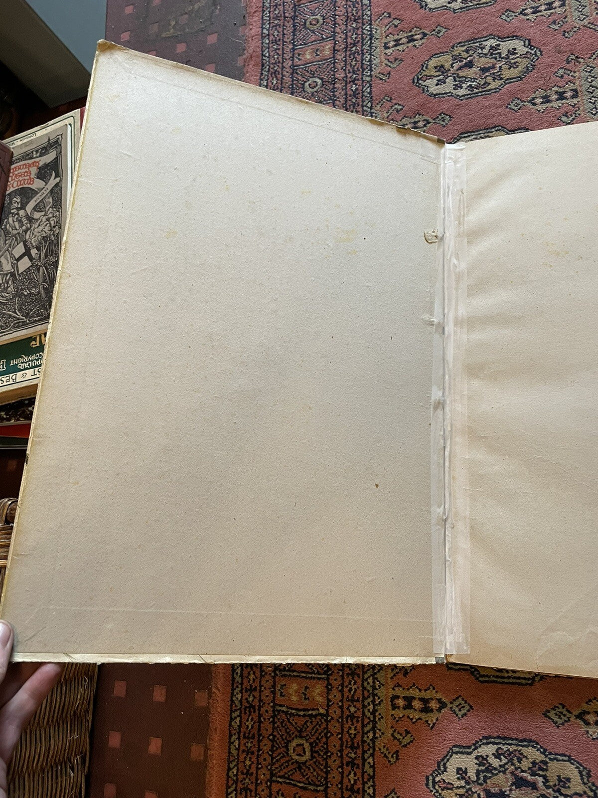 1898 Steinlen · Des Chats : Original Copy : French Cats, Pictures without Words