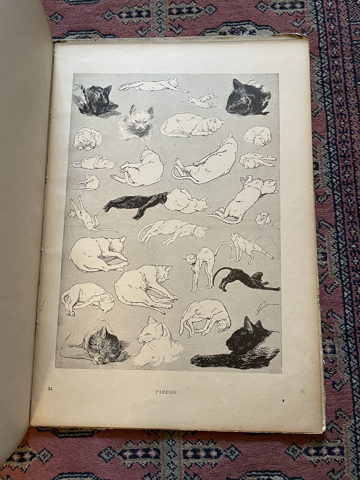 1898 Steinlen · Des Chats : Original Copy : French Cats, Pictures without Words