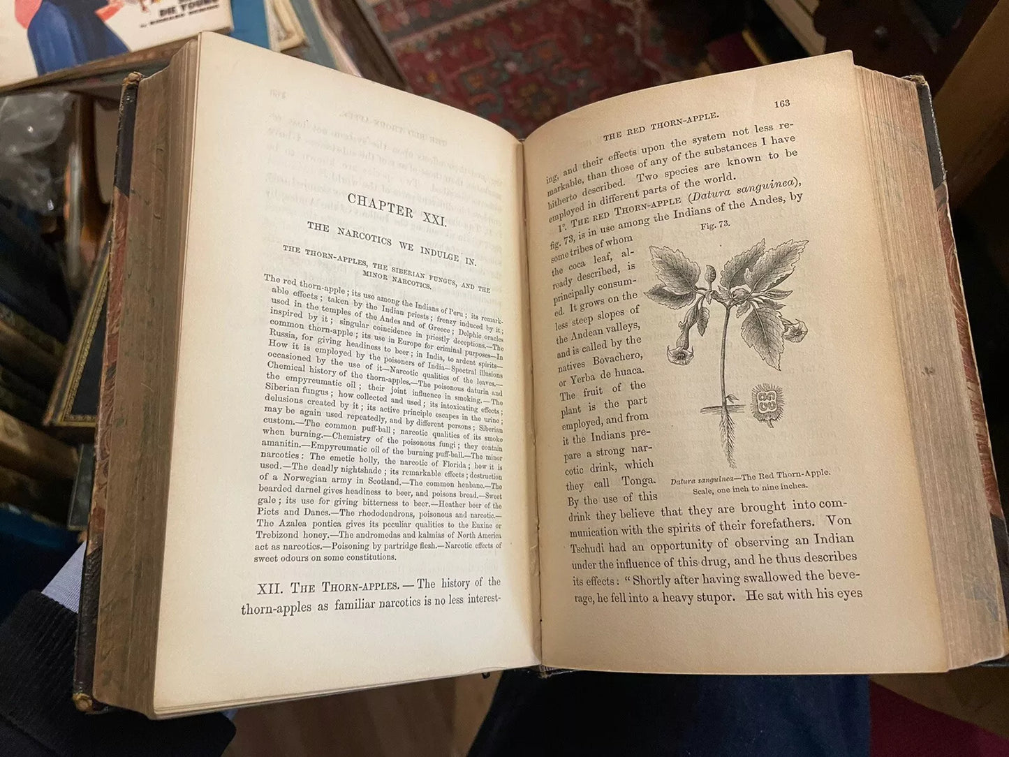 The Chemistry of Common Life : James F W Johnston (2 Vols) Flora & Fauna Botany