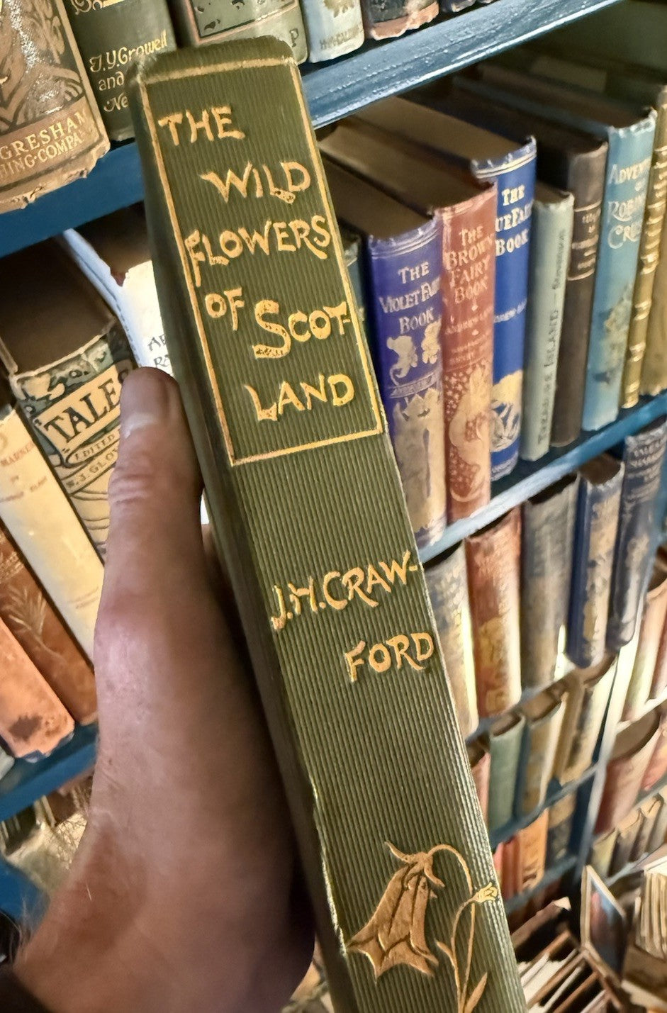 1897 The Wild Flowers of Scotland : J H Crawford : Illustrated : VG Copy