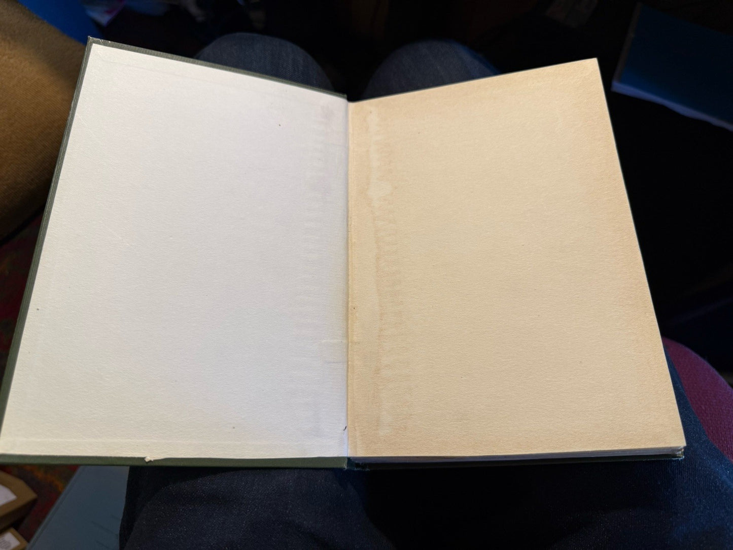 1897 The Wild Flowers of Scotland : J H Crawford : Illustrated : VG Copy