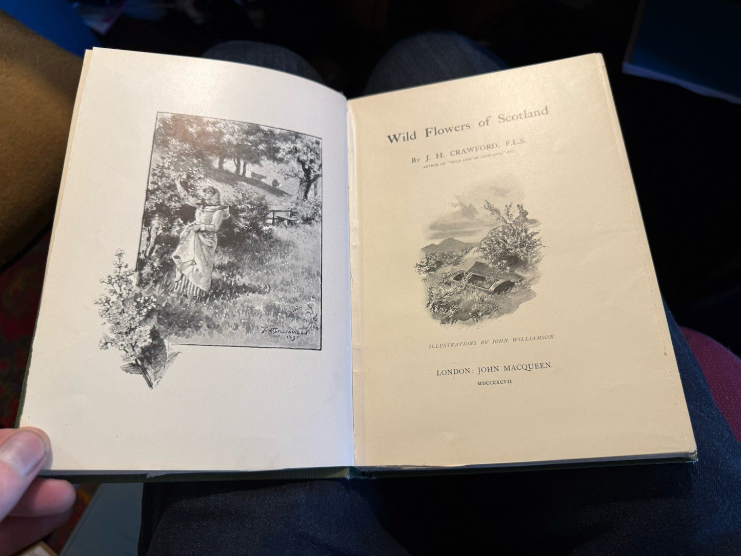 1897 The Wild Flowers of Scotland : J H Crawford : Illustrated : VG Copy