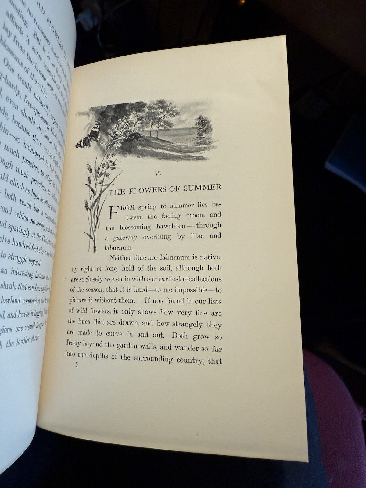 1897 The Wild Flowers of Scotland : J H Crawford : Illustrated : VG Copy
