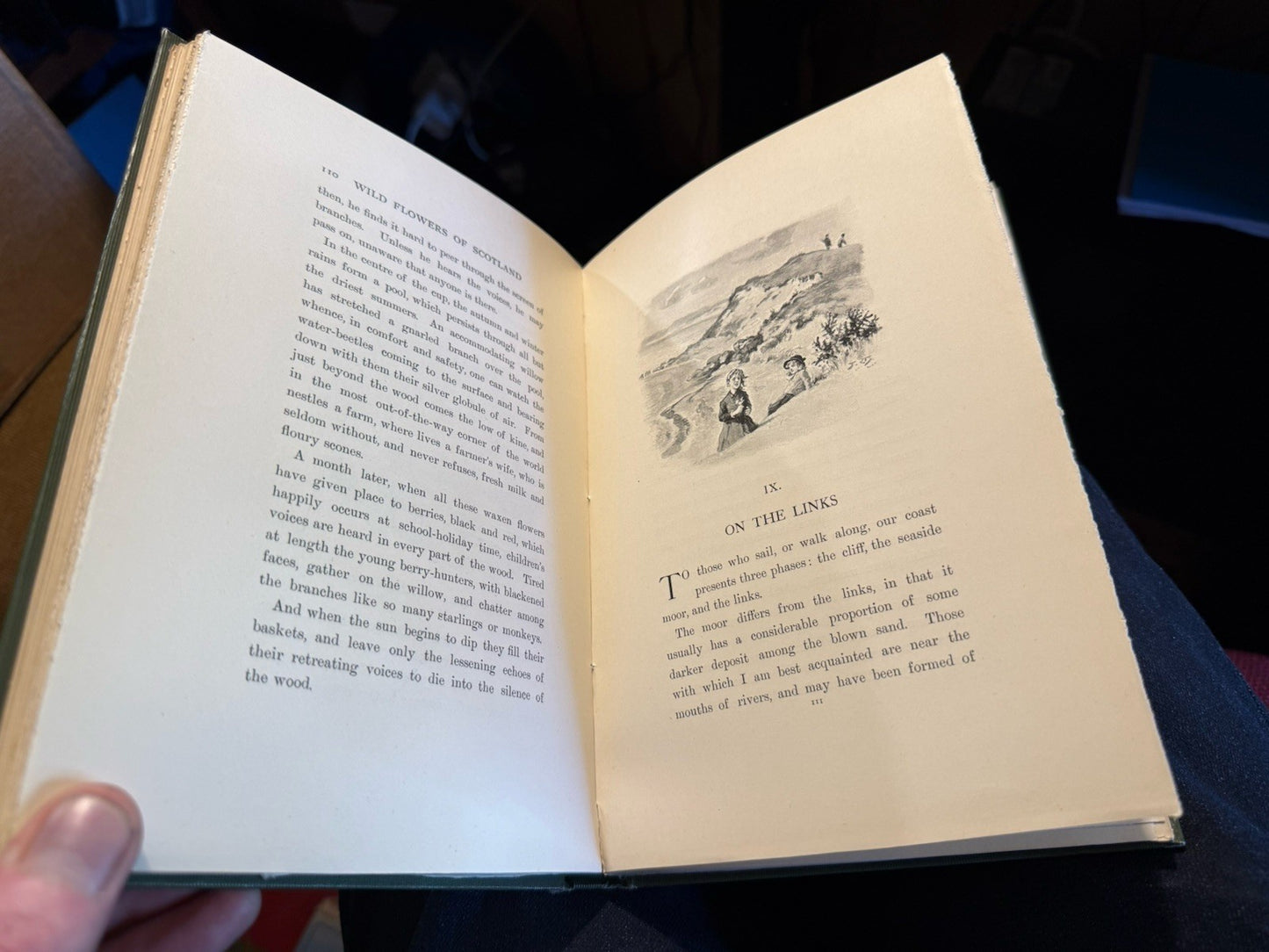 1897 The Wild Flowers of Scotland : J H Crawford : Illustrated : VG Copy