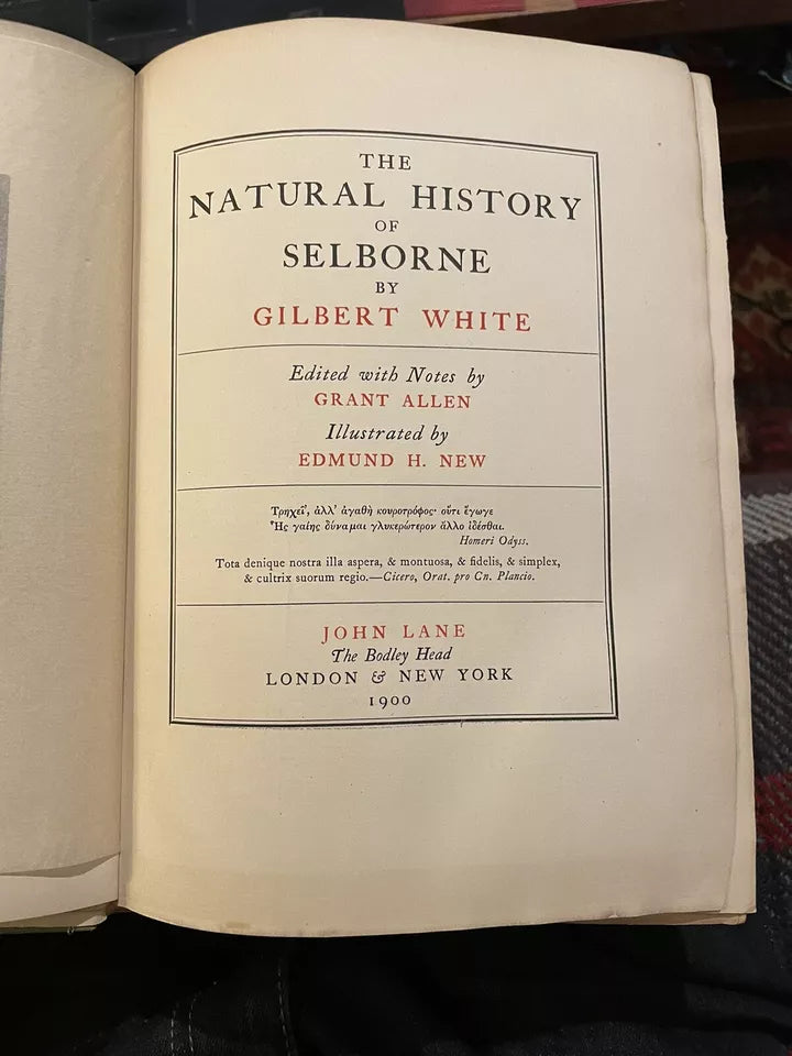 1900 Gilbert White : Natural History of Selborne : Illus by Edmund H. New