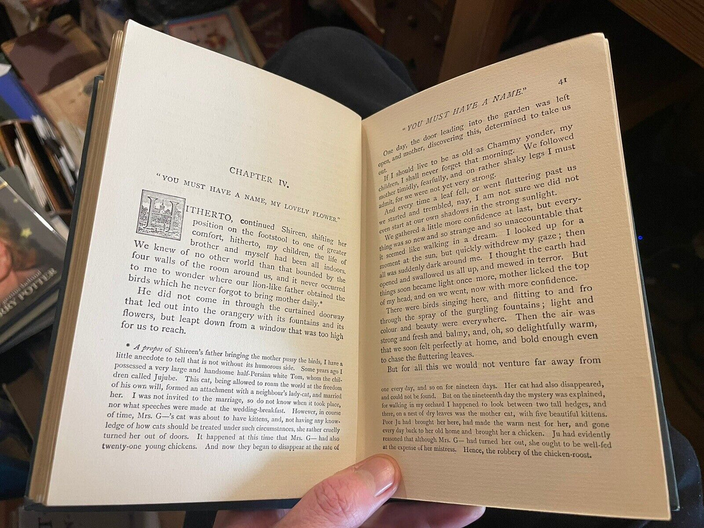 Shireen and Her Friends : Pages From the Life of a Persian Cat : Gordon Stables