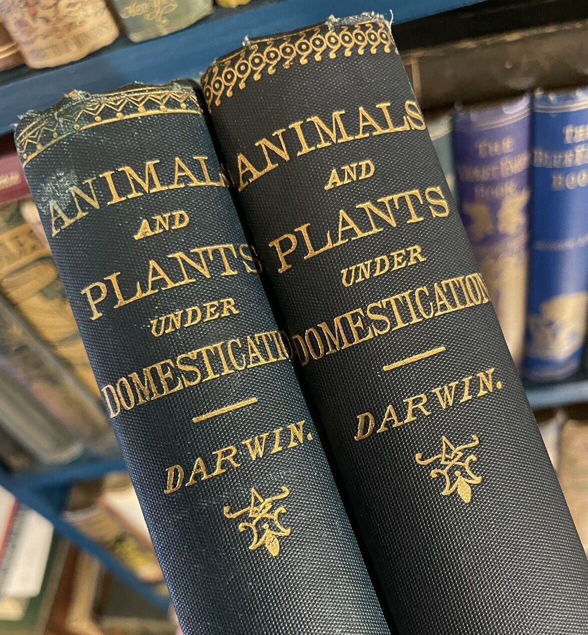 1893 Charles Darwin (2 Vols) Variation of Animals and Plants under Domestication