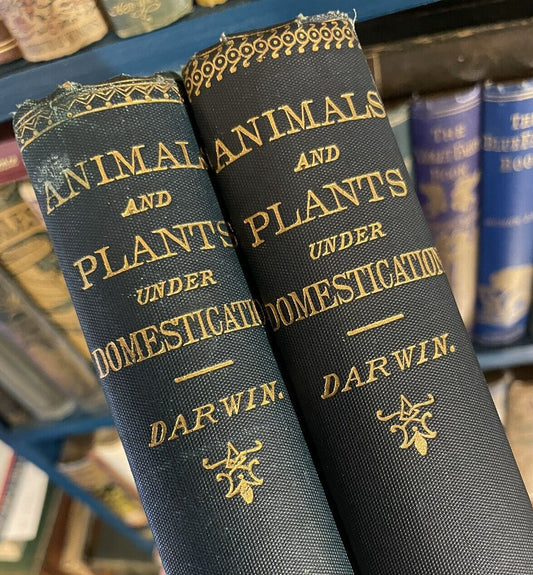 1893 Charles Darwin (2 Vols) Variation of Animals and Plants under Domestication