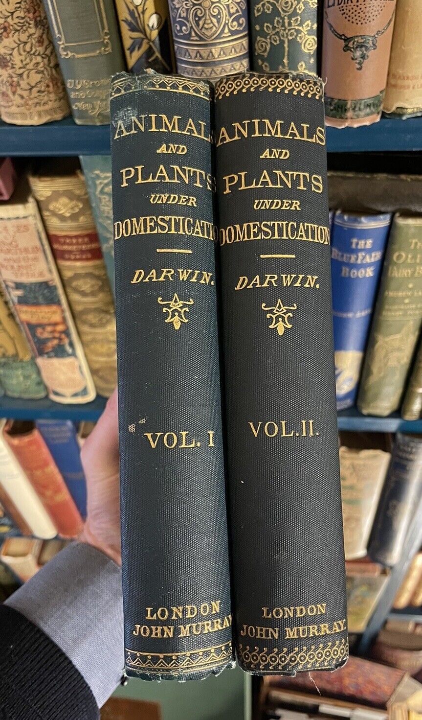 1893 Charles Darwin (2 Vols) Variation of Animals and Plants under Domestication
