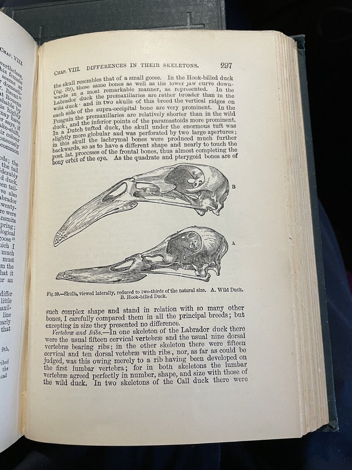 1893 Charles Darwin (2 Vols) Variation of Animals and Plants under Domestication