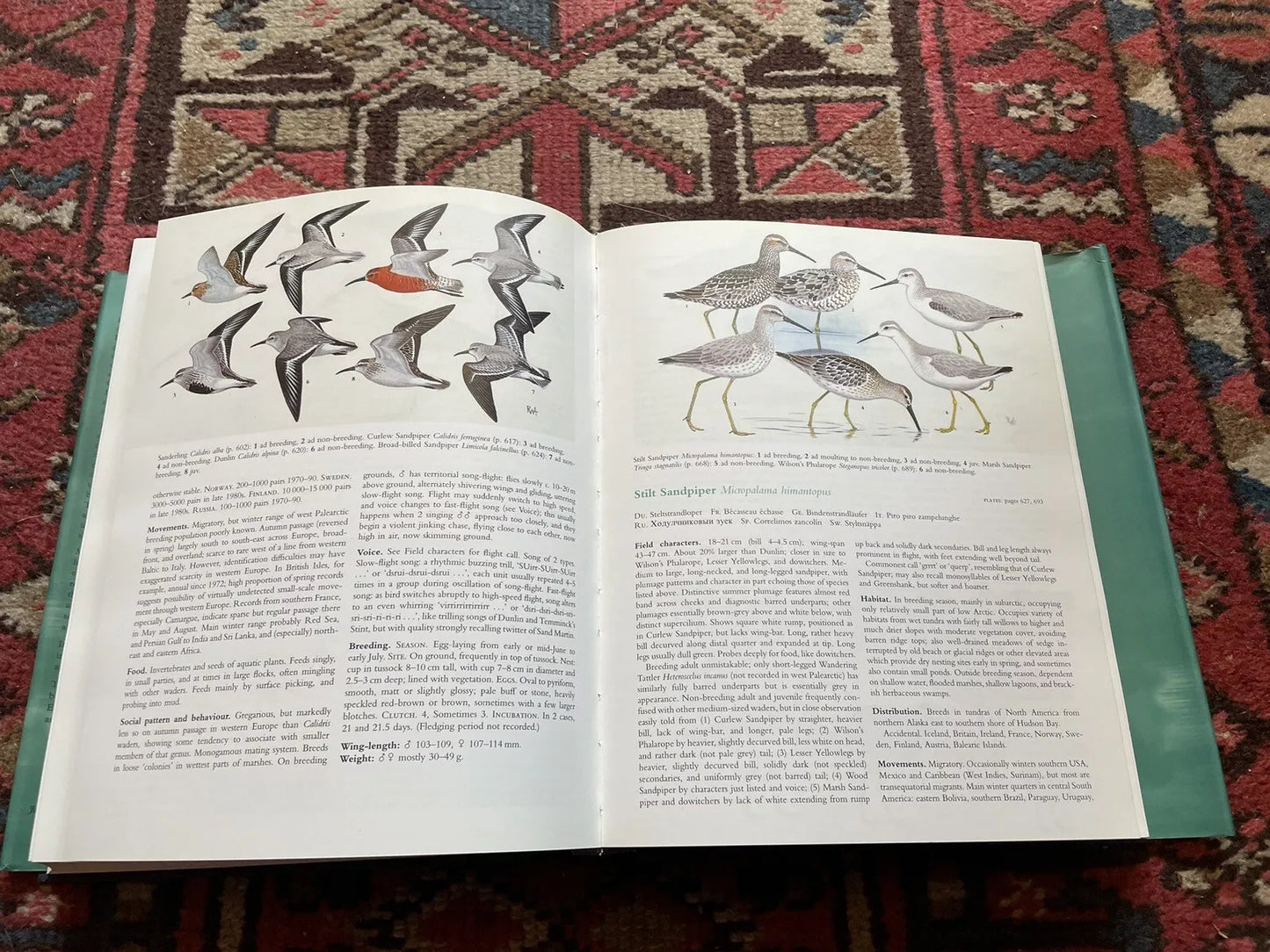 1998 The BIRDS of the WESTERN PALEARCTIC Concise Edition (2 Vols)