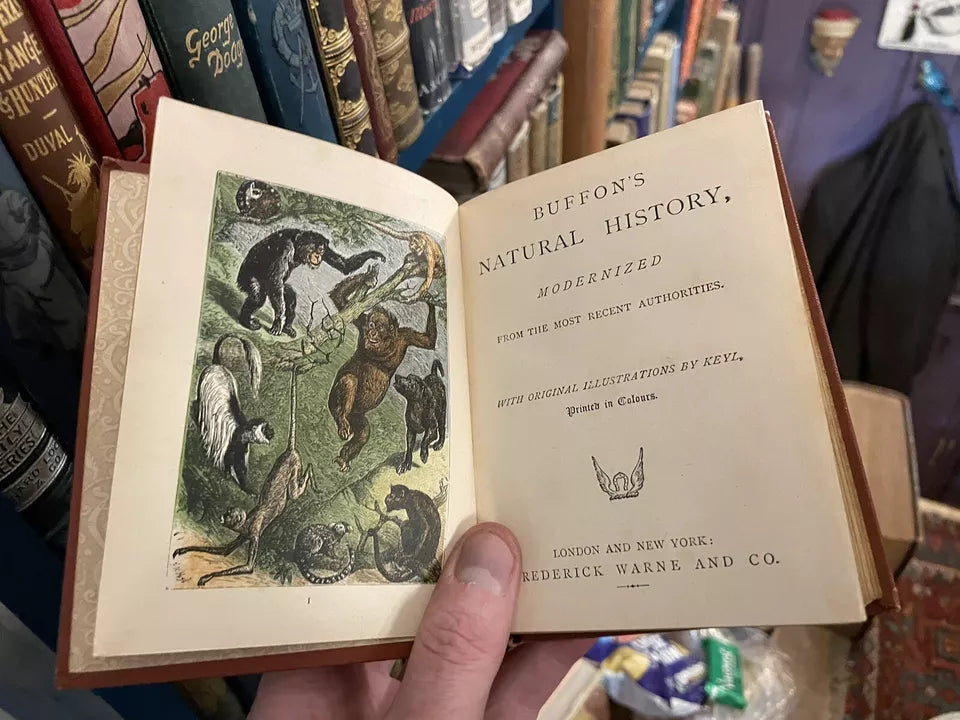 c1889 Buffon's Natural History Modernized : 32 Colour Plates : A Very Good Copy