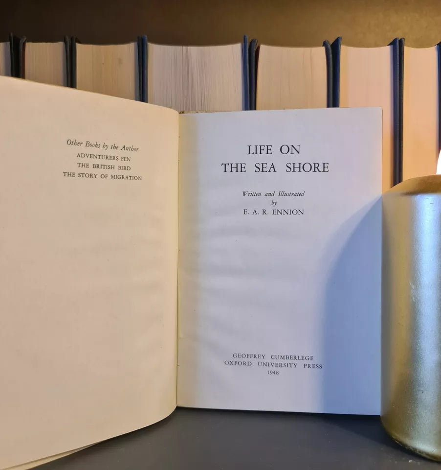 Life on the Sea Shore, E.A.R. Ennion: Hardback: 1st Edition