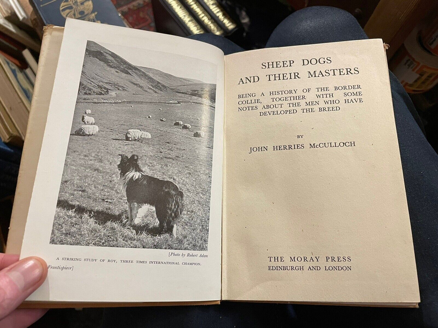 Sheep Dogs : McCulloch : Border Collies : Genealogical Breeding Chart 1946